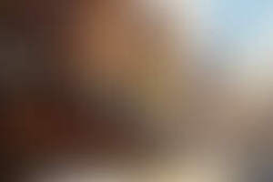 Фотография городского квеста Старинный город Дмитров: островок спокойствия в Подмосковье от компании Quest Planet (Фото 1)